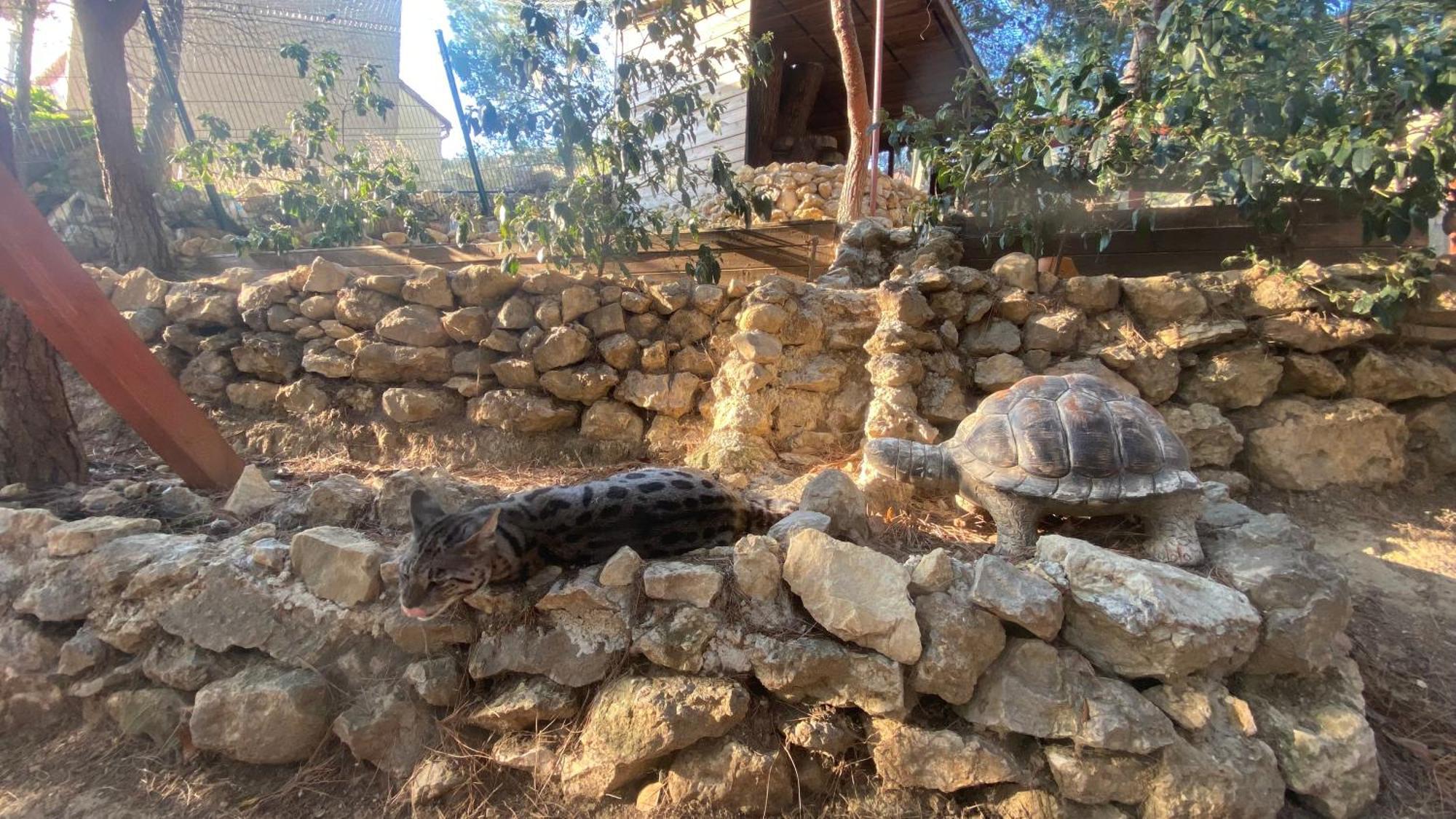 فيلا Les Jardins De L'Oustal ناربون المظهر الخارجي الصورة